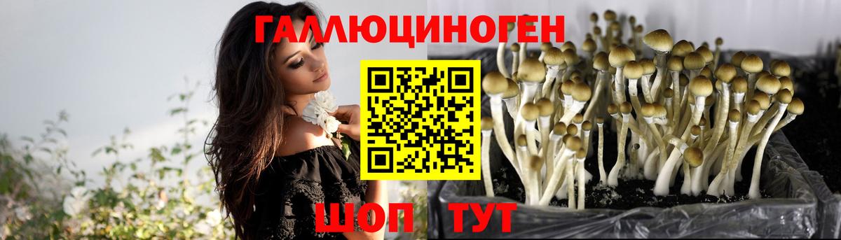 Галлюциногенные грибы ЛСД  Вход с VPN  Бутурлиновка 